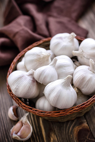 Spring Planting Garlic | White | 3 Bulbs