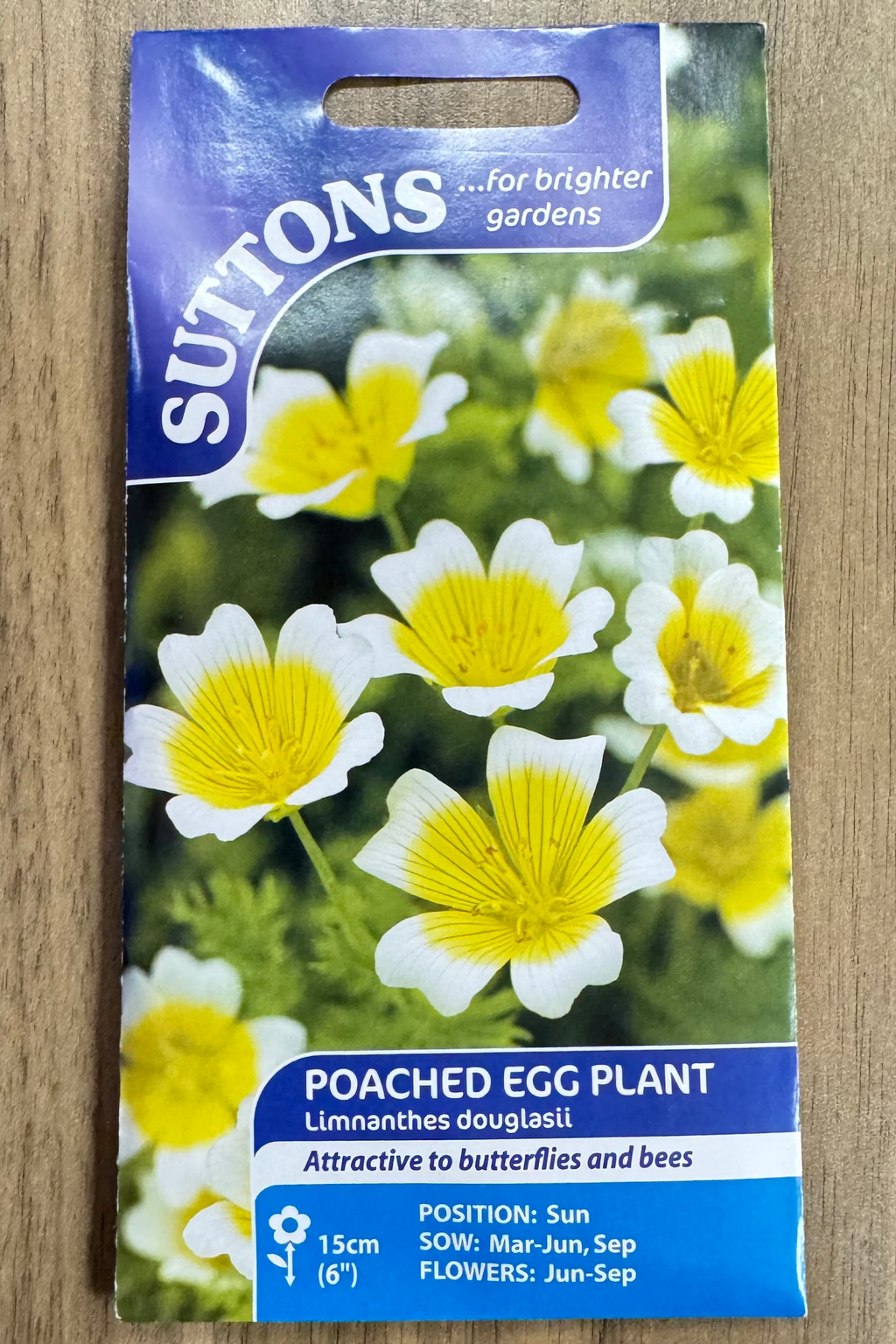 poached egg plant in pots Suttons Seeds