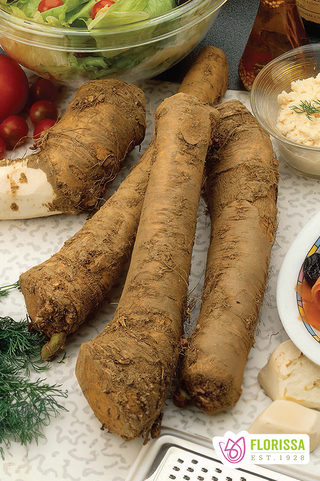 Horseradish | Bare Root