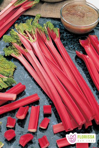 Rhubarb | Strawberry Red | Bare Root