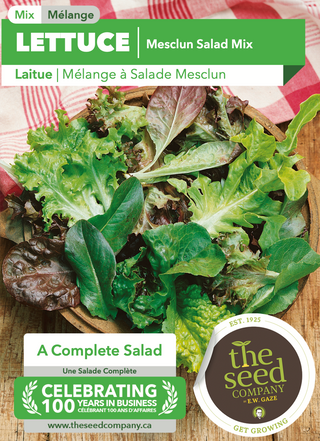Lettuce | Mesclun Salad Mix