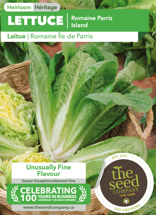 Lettuce | Romaine Parris Island