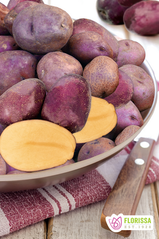 Seed Potatoes | Gourmet Huckleberry Gold | 250g