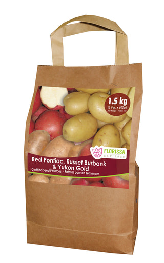 Seed Potatoes | Combo Sack 1 | Red Pontiac, Russet Burbank & Yukon Gold | 1.5kg