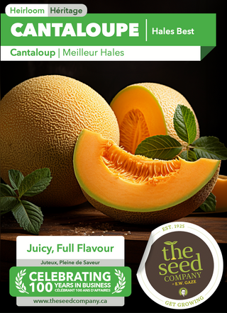 Cantaloupe | Hales Best