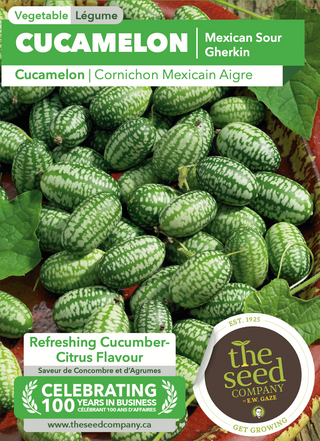 Cucamelon | Mexican Sour Gherkin