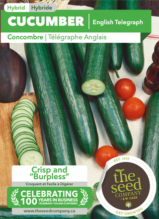 Cucumber | English Telegraph