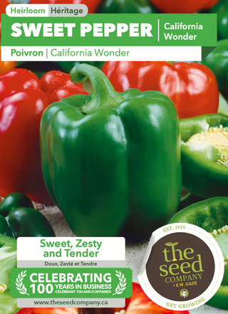 Sweet Pepper | California Wonder