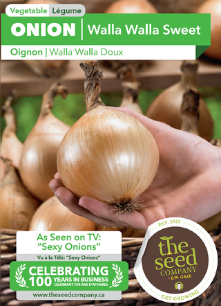 Onion | Walla Walla Sweet