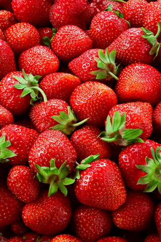 Strawberry | Annapolis | 25pk
