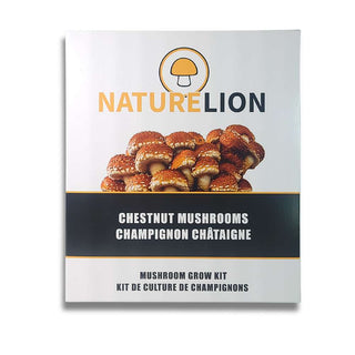 Mushroom Kit | Chestnut