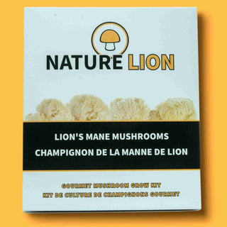 Mushroom Kit | Lion's Mane