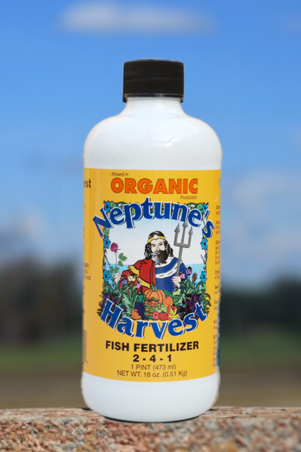 Neptune's Harvest Organic Fish Fertilizer 241 0.5kg The Seed