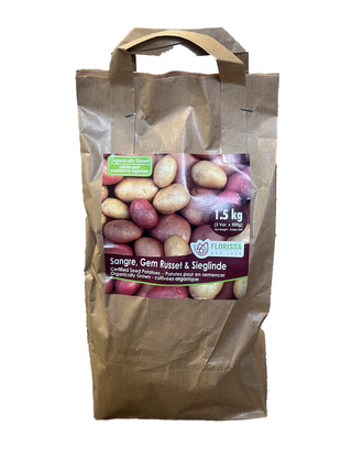 Seed Potatoes | Combo Organic  | Sangre, Gem Russet, & Sieglinde | 1.5kg