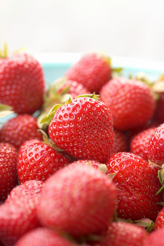 Strawberry | Eversweet Everbearing 25pk