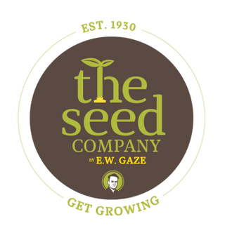Rebranding of Gaze Seed Co. Ltd