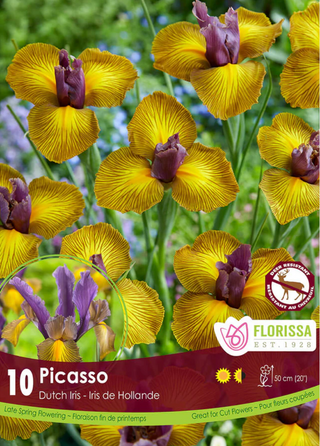 New 2026 Flower Bulbs