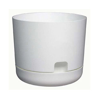 DCN Plastic Oasis Self-Watering Planter w/ Saucer, (6"), White
