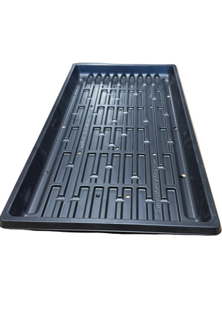 A black microgreen tray with holes, placed on a wooden surface.