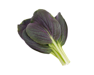 Click and Grow Refill 3-Pack - Red Bok Choy