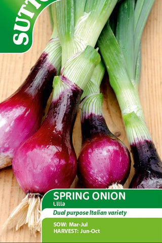 Suttons spring onion seed packet with red and green onions on a wooden surface
