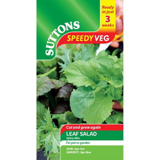 Suttons Seeds - Salad Leaf Spicy Mix