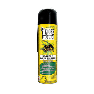 Knock Down hornet and wasp blaster spray