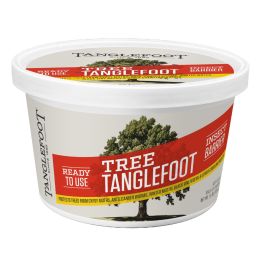 Tree Tanglefoot Sticky Pest Barrier 15 oz Tub
