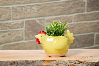 Small Chicken Planter Yellow 5"L