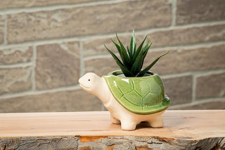 Small Turtle Planter 3.5"H