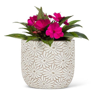 Large Round Daisy Planter 6"H