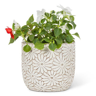 Medium Round Daisy Planter 4.5"H