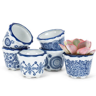 Blue & White Small Planter 3"D (Assorted)
