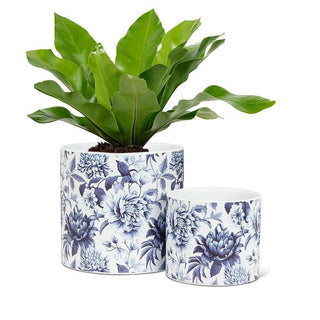 Large Chintz Print Planter 6.5"D