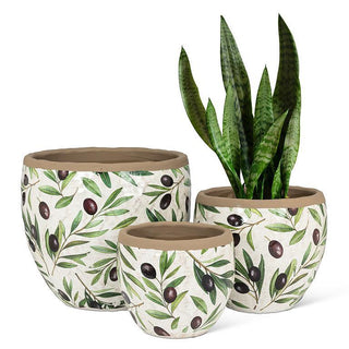 Medium Olive & Branch Planter 7"D