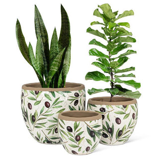 Medium Olive & Branch Planter 7"D
