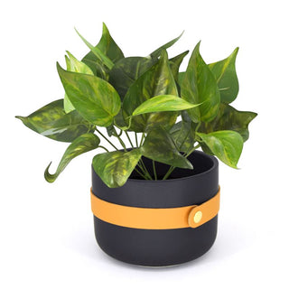 BIA Tavolo Planter 15cm, Black