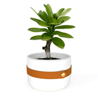 BIA Tavolo Planter 15cm, White