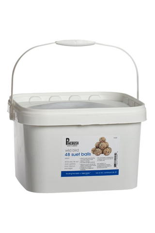 White bucket with suet balls on a white background
