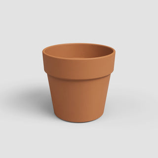 Amalia Wide Terracotta Pot 10 inch Natural