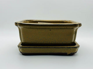 Bonsai Ceramic Pot 5" with Saucer