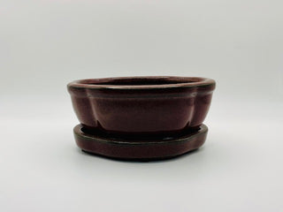 Bonsai Ceramic Pot 5" with Saucer
