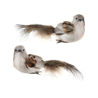 Two assorted grey and brown feather clip birds