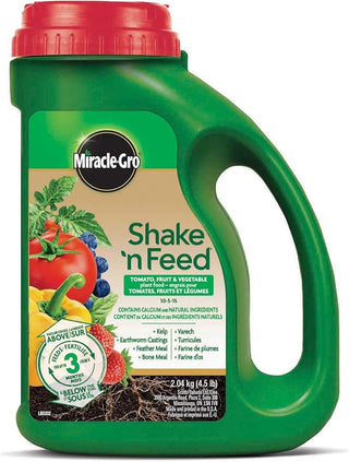 Miracle Gro Shake n Feed Tomato Fruit Veg 2kg 10-5-15