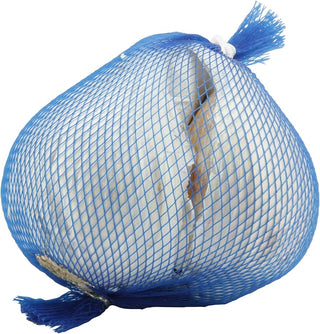 PRE-ORDER Fall Garlic | JUMBO Elephant