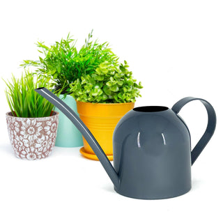Natural Living Watering Can 450ml, Grey