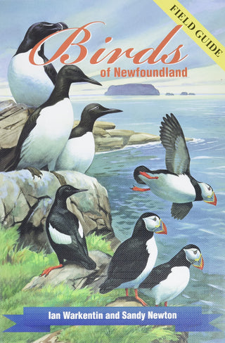 Birds of Newfoundland