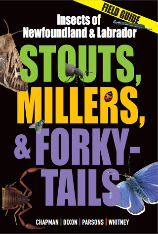 Insects of Newfoundland and Labrador: Stouts, Millers, & Forky-Tails