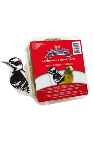 Bird suet block with Armstrong branding on a white background