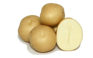 PRE-ORDER Seed Potatoes "Atlantic" 10lb